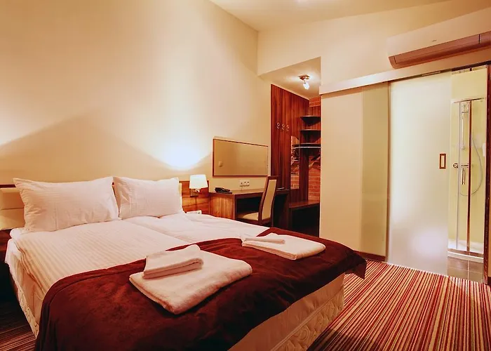 Browar Czenstochovia Hotel&spa تشينستوخوفا